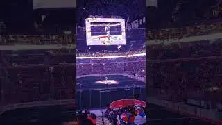 This is the best place to be #shorts #nll #buffalobandits @NLLBandits