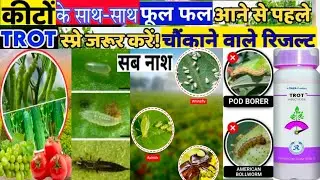 फल फूल बर्बाद होने से पहले Trot कीटनाशक को इस्तेमाल करें|फल फूल आने से पहलेTrotको जान ले| Tata Trot 