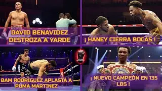 DAVID BENAVIDEZ DESTROZA A YARDE // HANEY CIERRA BOCAS // BAM CUMPLE LOS PRONÓSTICOS Y AHORA?