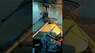 Delta Roars 3/16/23 #shorts #oldmankayakfishing #freespooling #deltafishing #bassfishing