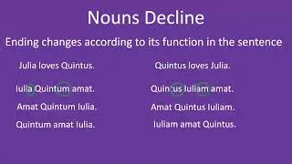 Overview of Latin Noun Basics - Declensions, Cases, Endings