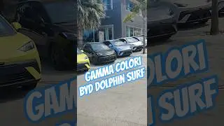 gamma colori BYD Dolphin Surf #byd #dolphinsurf #bev