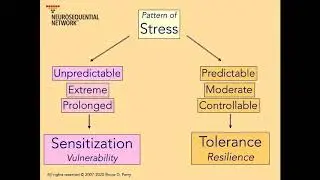1. Patterns of Stress & Resilience: Neurosequential Network Stress & Trauma Series