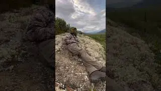 Добыча нашего лося