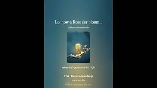 Anonymous - Lo, how a Rose e'er blooming - original