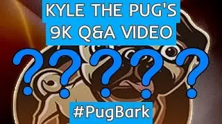❓ KYLE THE PUG'S 9K Q&A VIDEO ❓