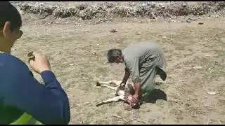 Water suplaiy project Swat Starting construction 1st Day inauguration program