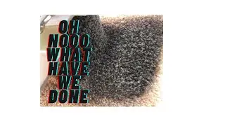 HOW WE PAINTED OUR RV CARPET (Part 2 of our RV renovation)