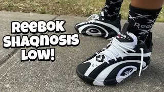 Reebok Shaqnosis Low! Review And On Feet!