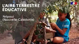 L’Aire Terrestre Educative de Népoui en Nouvelle-Calédonie