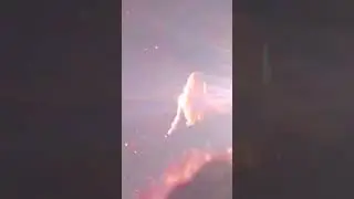 Rose dress malfunction || backup dancer helped her