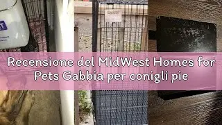 Recensione del MidWest Homes for Pets Gabbia per conigli pieghevole, lunga 93,98 cm, con griglia per