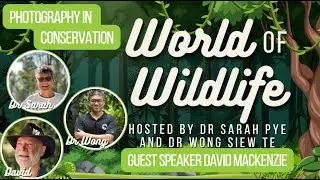 [WoW] Discover the impact of animal photography in conservation [December 2025]