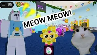 Aku menjadi kucing dan harus menyelamatkan teman teman ku! //roblox indonésia