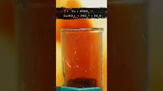 ЛИСИЙ ХВОСТ &ndash; ЖУТКИЙ ЗАВОД