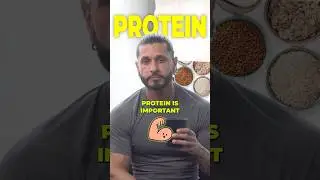 The Truth: How Important Is Protein Intake for Muscle Growth?