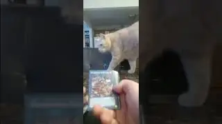 OPENING YUGIOH 2025 Mega Tin