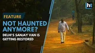&lsquo;Haunted&rsquo; in folklore, south Delhi&rsquo;s Sanjay Van is now a birders&rsquo; paradise