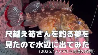 爆風でも釣りはできる。【おまけつき】(2025.12.25の三河湾の釣果)
