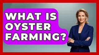 What Is Oyster Farming? - The Marine Life Explorer