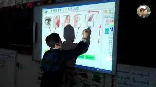 L'usage de la TBi en classe