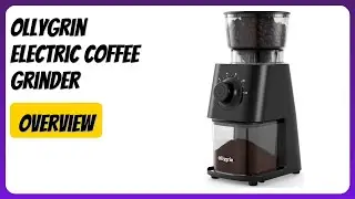 REVIEW (2025): Ollygrin Electric Coffee Grinder. Features
