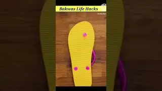 Bakvas Life hack part 1 #shorts #shortvideo