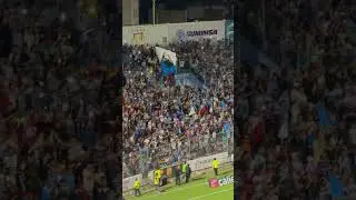 Afici&oacute;n de primera divisi&oacute;n #viralvideo #youtubeshorts #ligaexpansi&oacute;nmx #jaibabrava #viralvideo