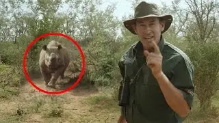 12 Scariest Rhino Encounters of The Year