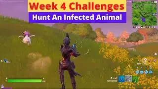 Hunt An Infected Animal - Fortnite Week 4 Challenges