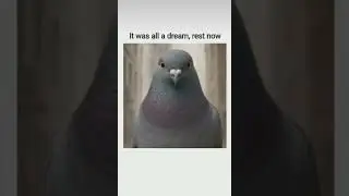 you can rest now.