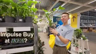 Did IKEA make us impulse buy?
