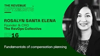 The Revenue Optimists - Fundamentals of compensation planning