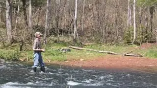 Fly fishing at Knox's Dam