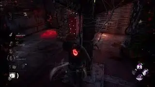 I Survived a Face Camping Basement Bubba!