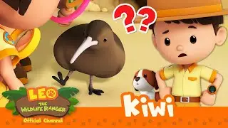 THIS BIRD HAS NO WINGS?! 🪶🐦 | Kiwi | Leo the Wildlife Ranger | #compilation