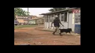 OKUTENDEKA EMBWA