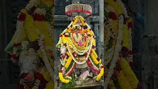 முத்திஷ்வரர் திருக்கோவில் ரிஷப வாகனம் புறப்பாடு #trendingshorts #kovilnagaram