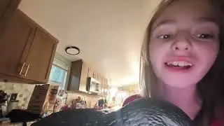 How to take care of your crow from spirit Halloween!