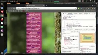 HTML5 CSS Box Model