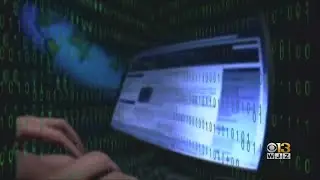 'No One Is Safe From This Threat' Cybersecurity Experts Gives Tips On How To Stay Safe Online