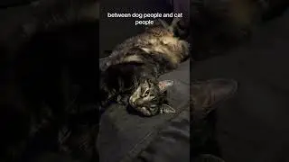 The real difference between cat people and dog people