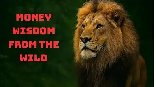 Money Wisdom from the Wild