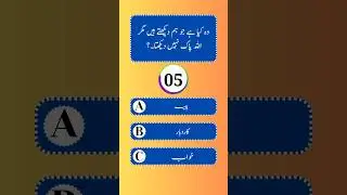 Do You Know❓ #urdupaheliyan #islamicquiz #interstingsawal #quizurdu