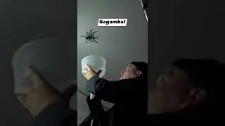 SPIDER🕷🕸