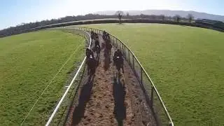 CircularGallopDavidMarnane