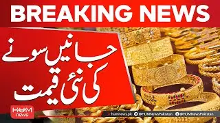 |Find Out the Latest Gold Prices Today | Hum News | Pakistan