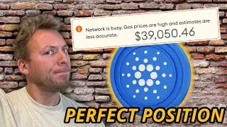 CARDANO ADA - КОМИССИЯ ЗА ТРАНЗАКЦИЮ В РАЗМЕРЕ 39 050 ДОЛЛАРОВ США???!!! CARDANO НАСТРОЕН ИДЕАЛЬНО!