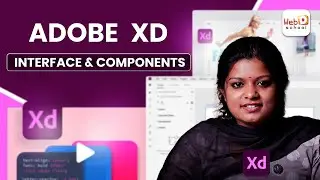 Adobe XD Interface Explained for Beginners | UI/UX Design Basics