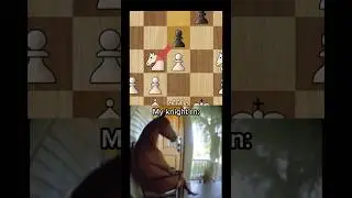 Knight BLUNDER🥲 #chess #blunder #chessopenings